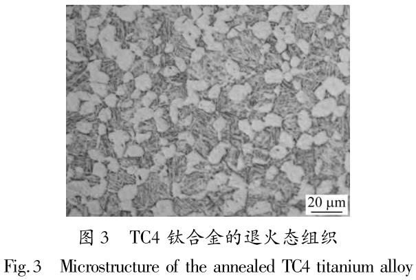 1705831235294224.jpg t3.jpg