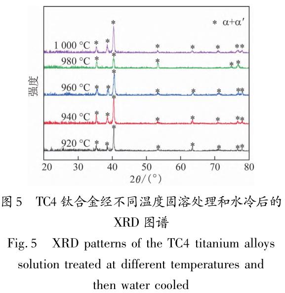 1705831256979176.jpg t5.jpg