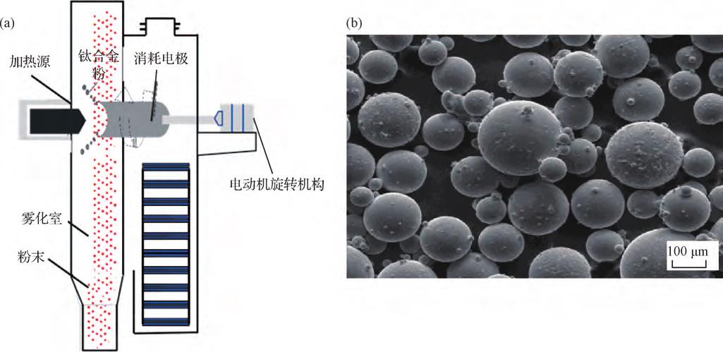 1709286225408118.jpg 1.jpg