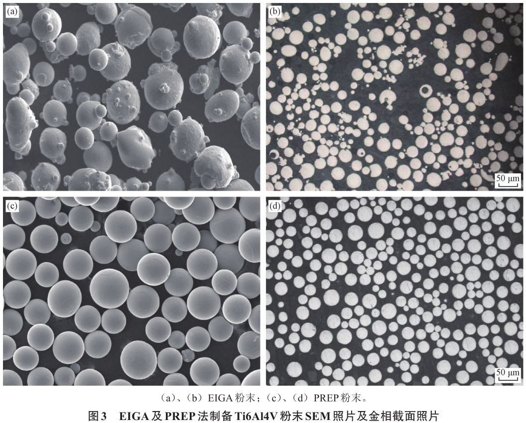 1713102684832781.jpg 未標(biāo)題-2.jpg